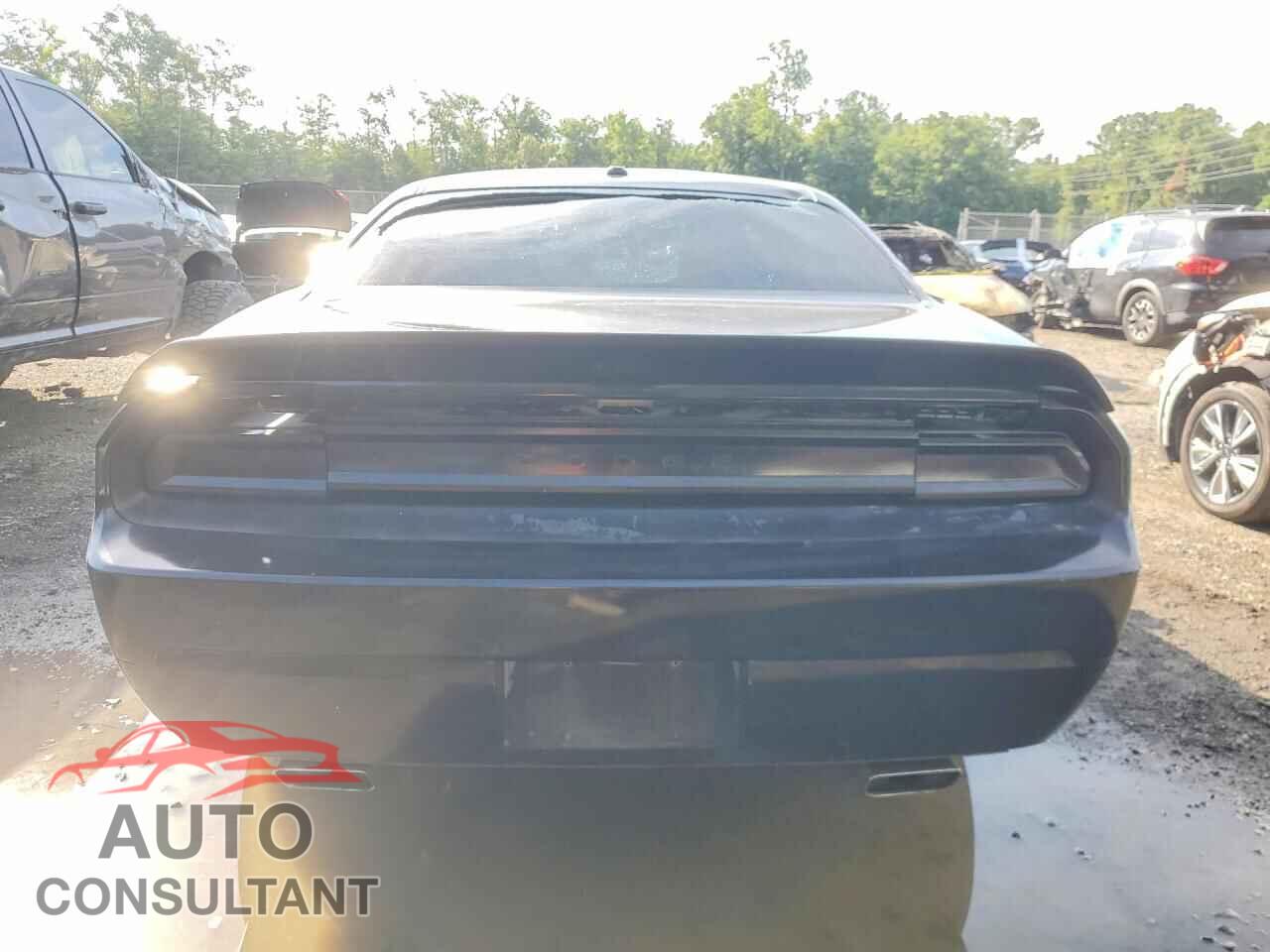 DODGE CHALLENGER 2012 - 2C3CDYAG3CH206543