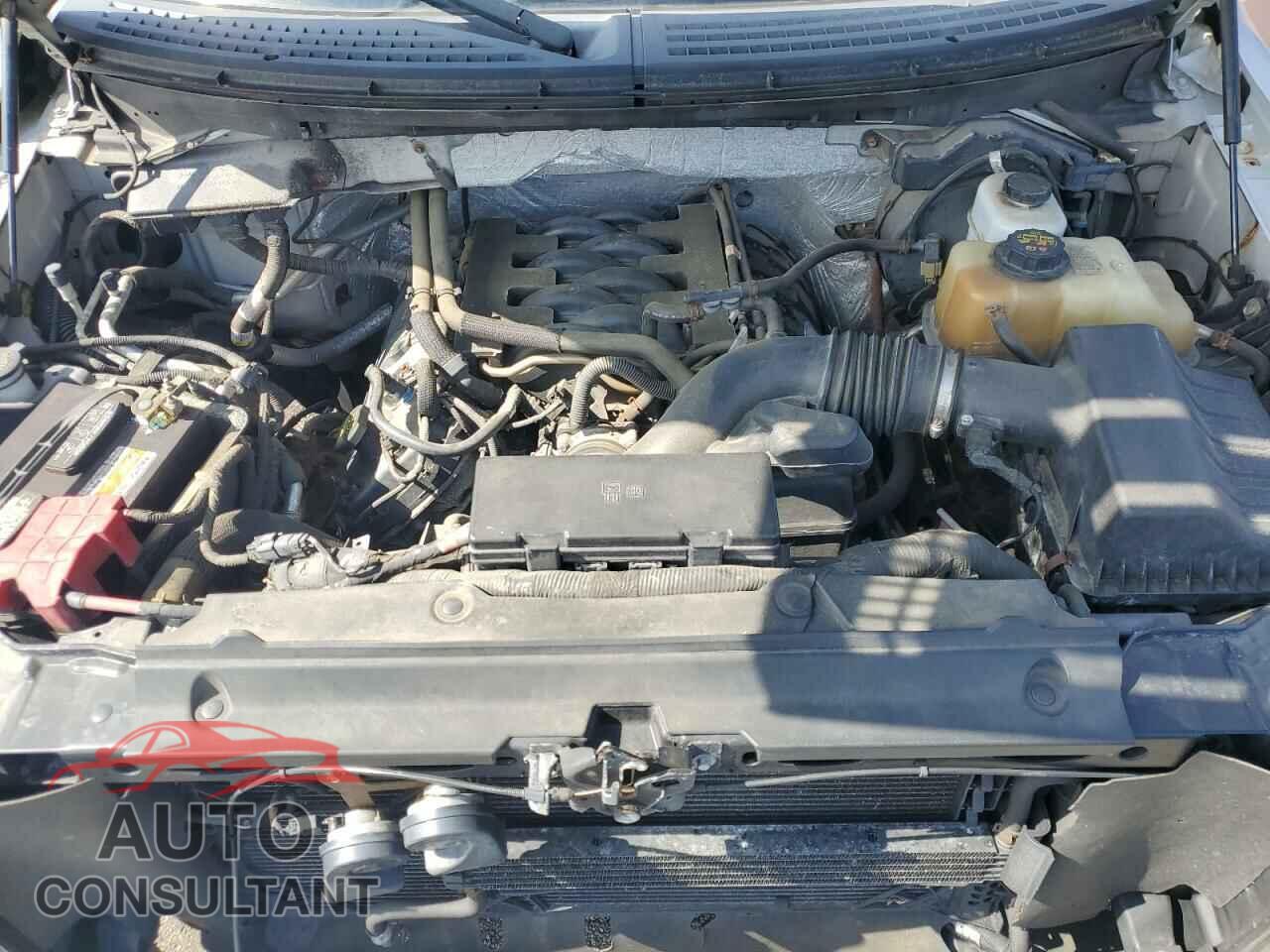 FORD F-150 2011 - 1FTFX1EF3BFC03313