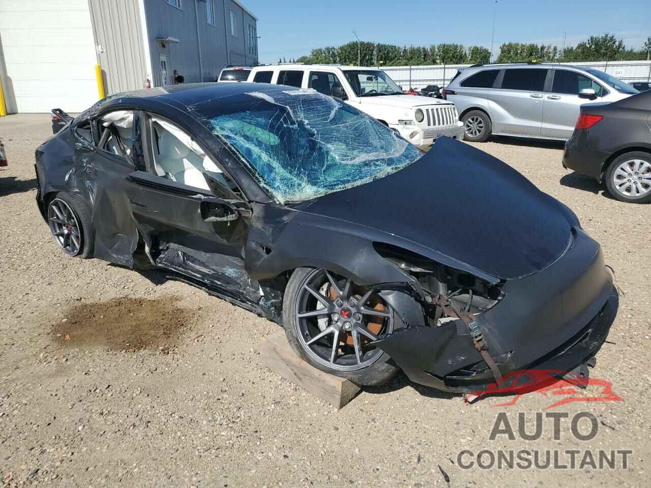 TESLA MODEL 3 2021 - 5YJ3E1EA1MF031965