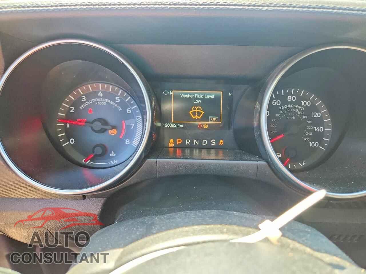FORD MUSTANG 2019 - 1FA6P8TH3K5116262