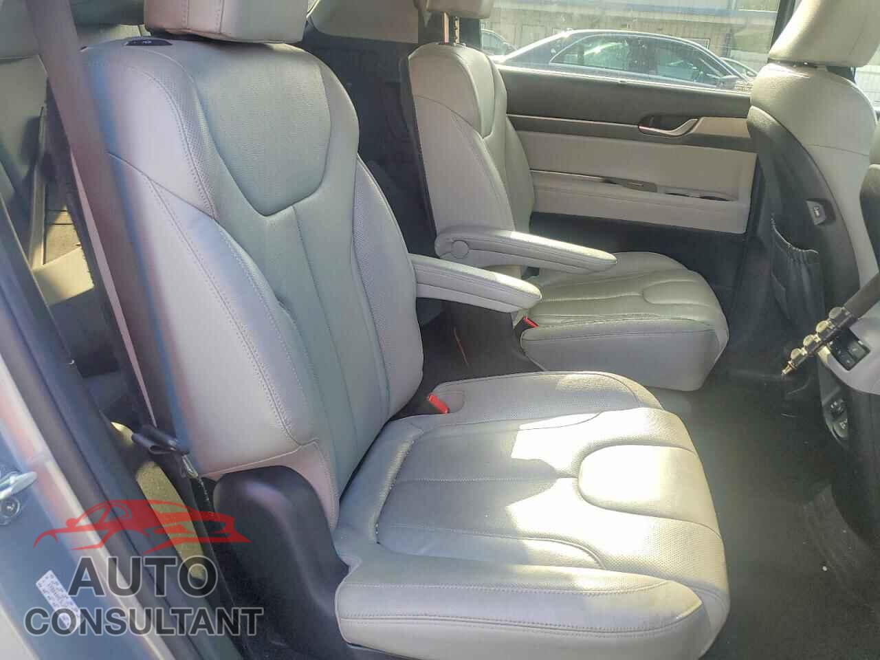 HYUNDAI PALISADE 2020 - KM8R44HE5LU095523