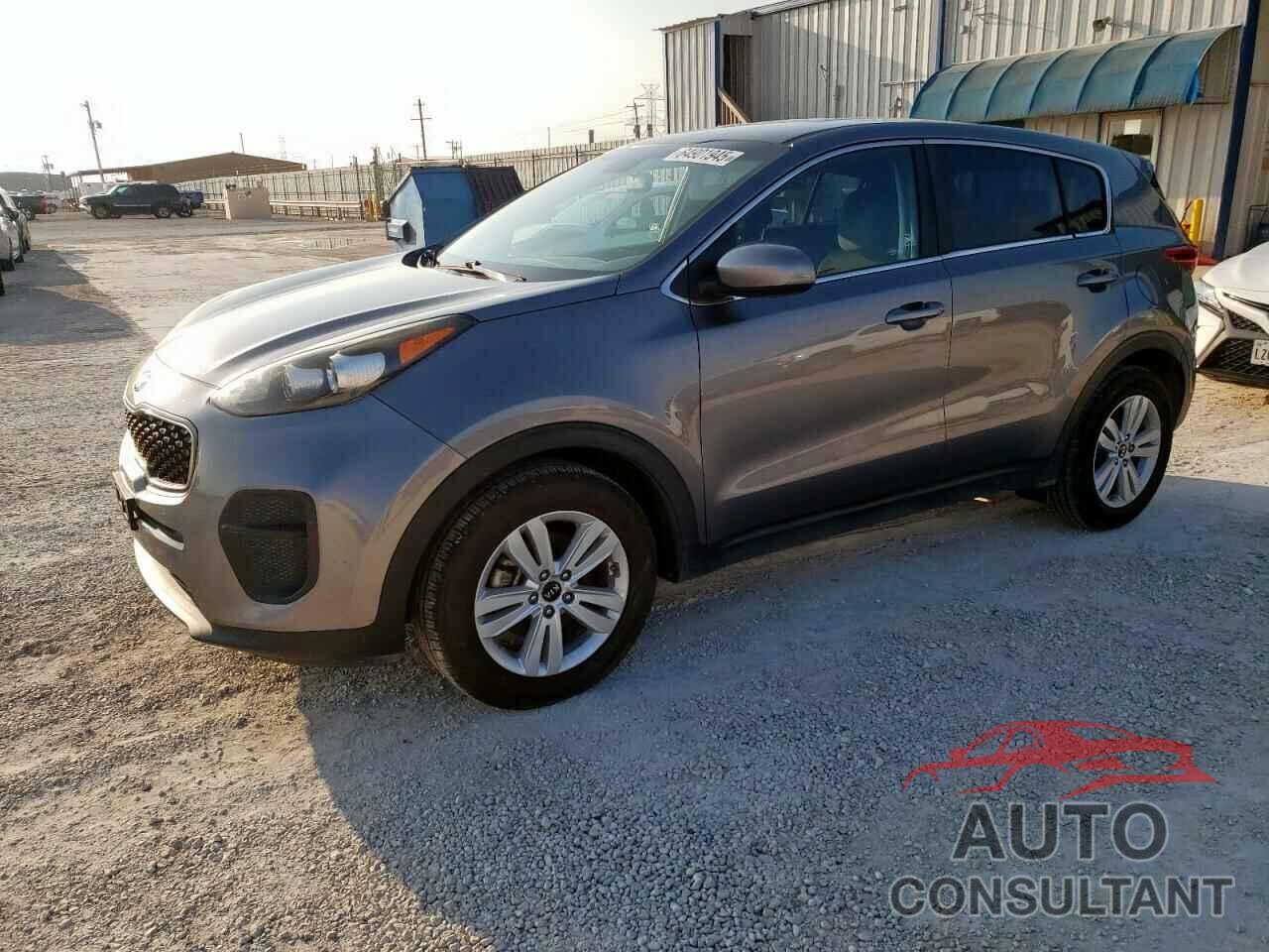 KIA SPORTAGE 2017 - KNDPM3ACXH7154005