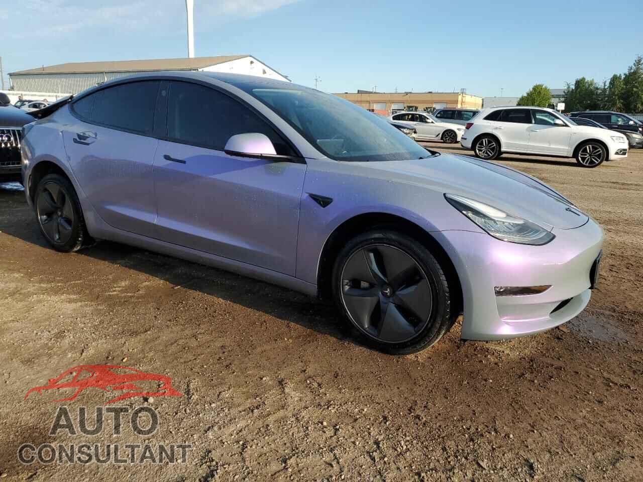 TESLA MODEL 3 2019 - 5YJ3E1EA4KF419995