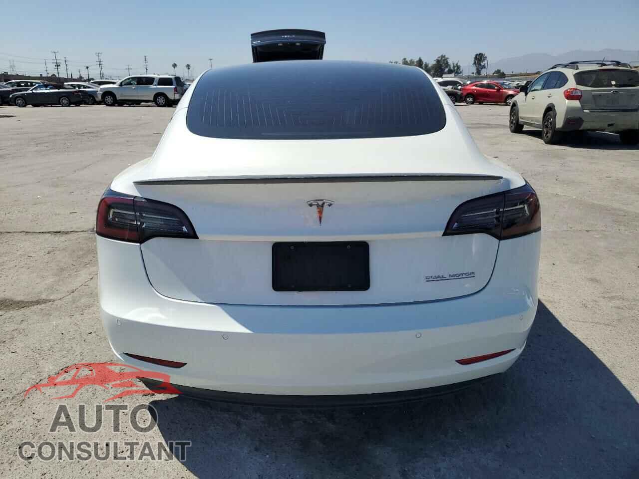 TESLA MODEL 3 2019 - 5YJ3E1EB0KF237865