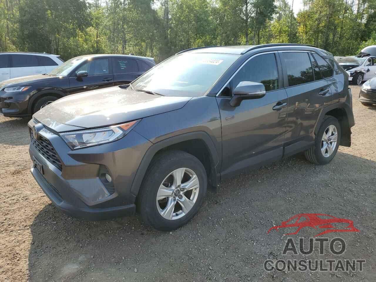 TOYOTA RAV4 2019 - 2T3W1RFV4KW008132