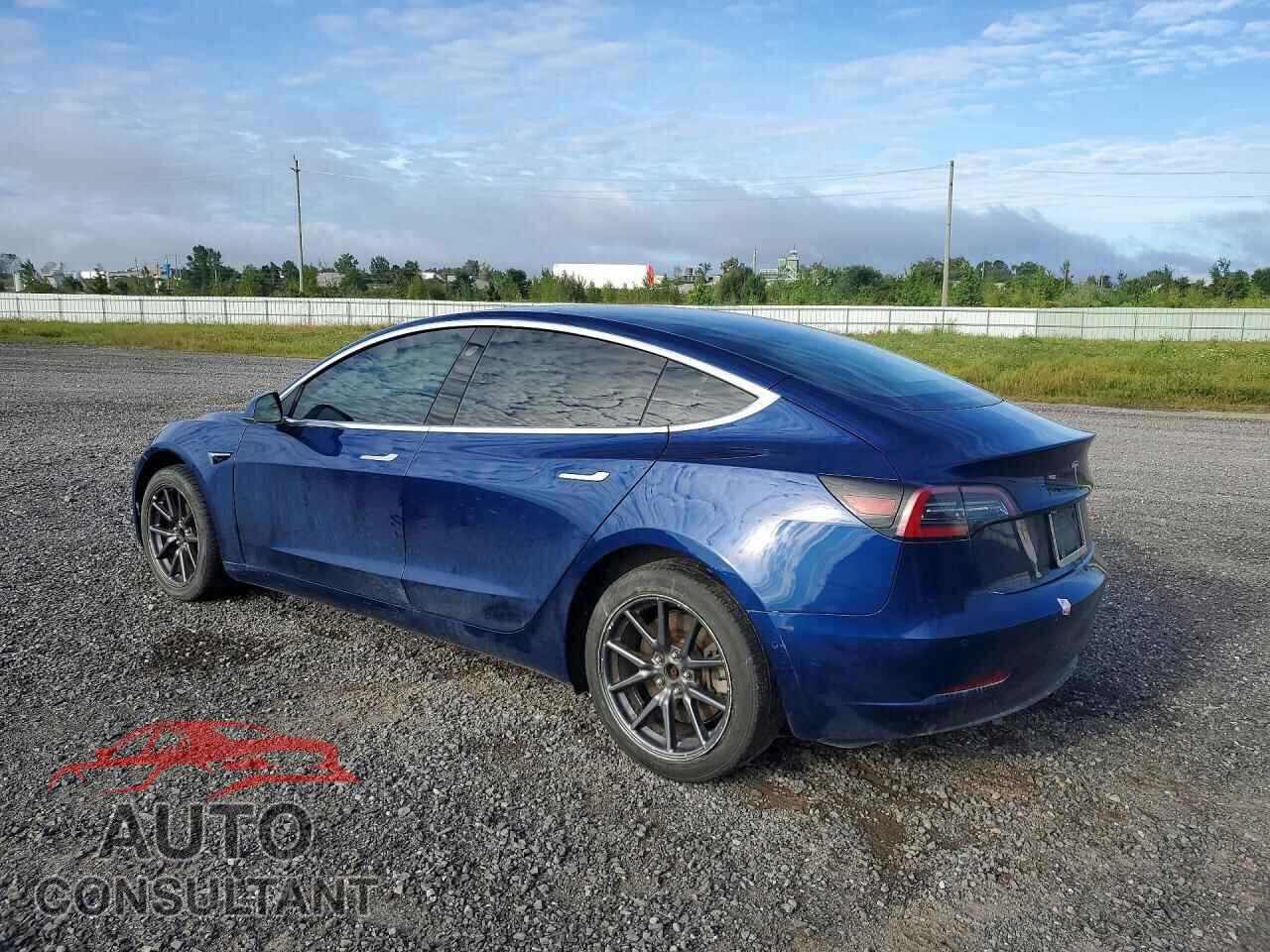 TESLA MODEL 3 2019 - 5YJ3E1EA5KF401067