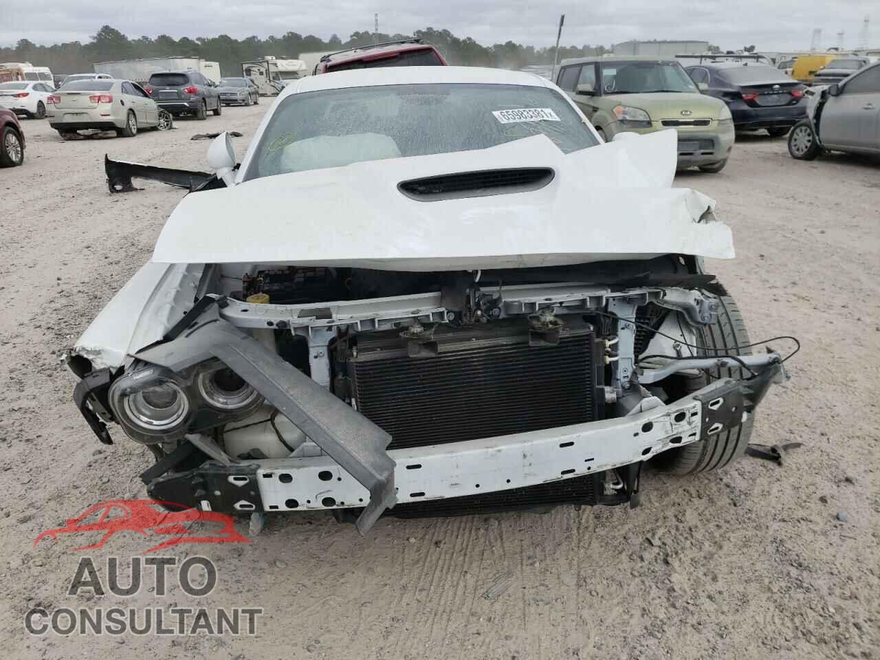 DODGE CHALLENGER 2019 - 2C3CDZBT2KH538957