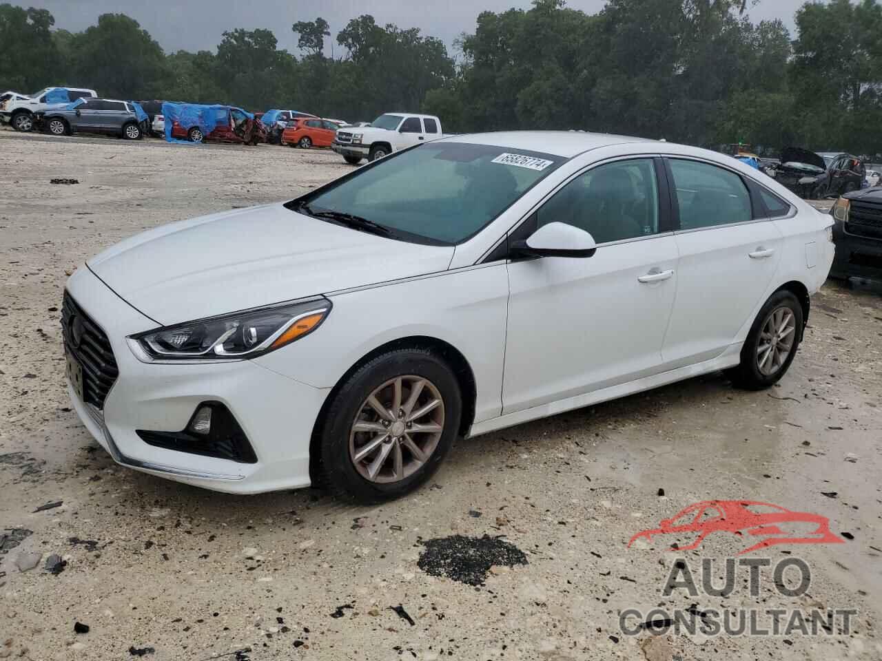 HYUNDAI SONATA 2018 - 5NPE24AF4JH693699