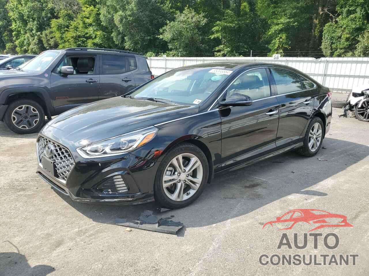 HYUNDAI SONATA 2019 - 5NPE34AF6KH802534