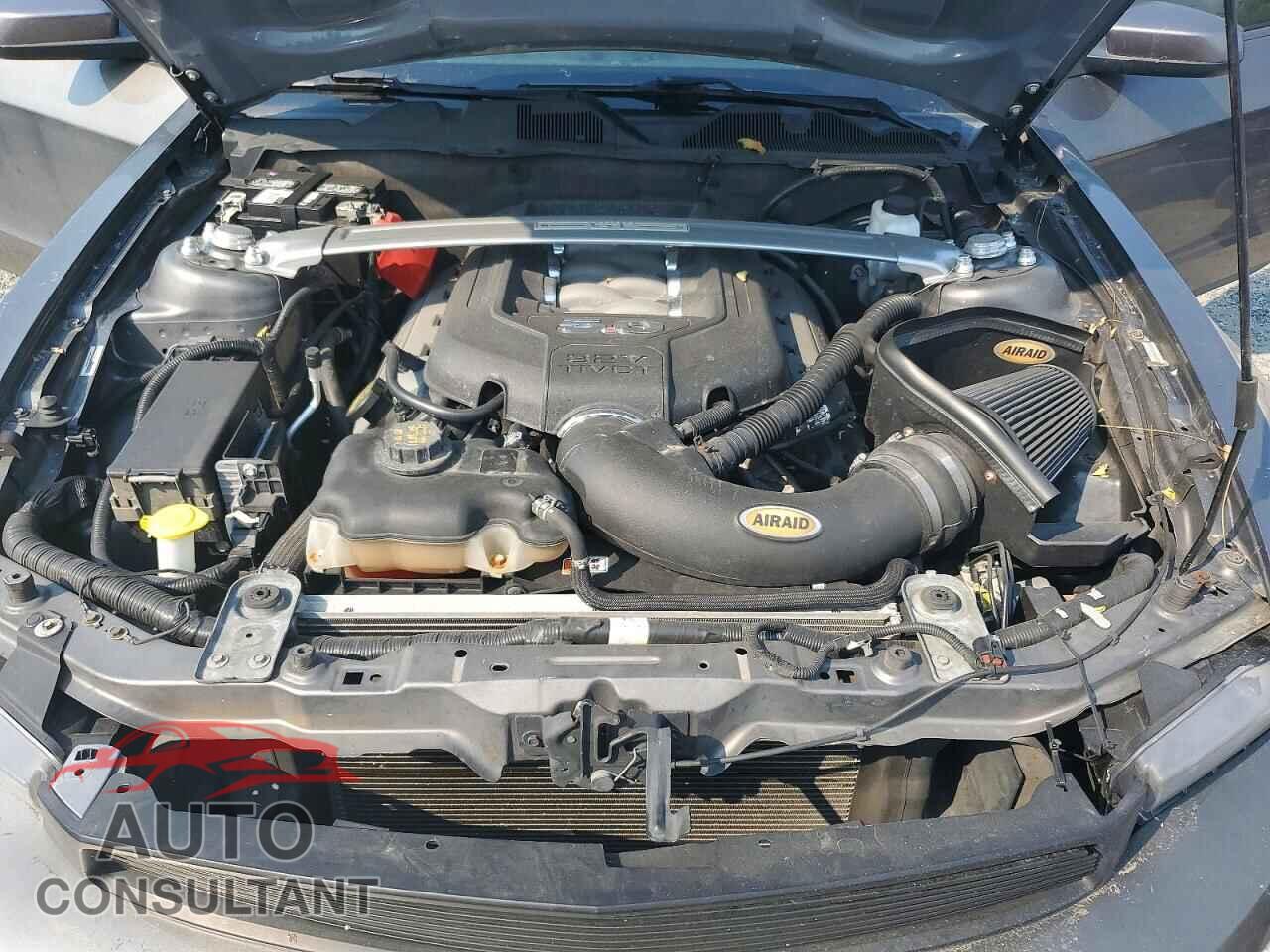 FORD MUSTANG 2011 - 1ZVBP8CF4B5137237