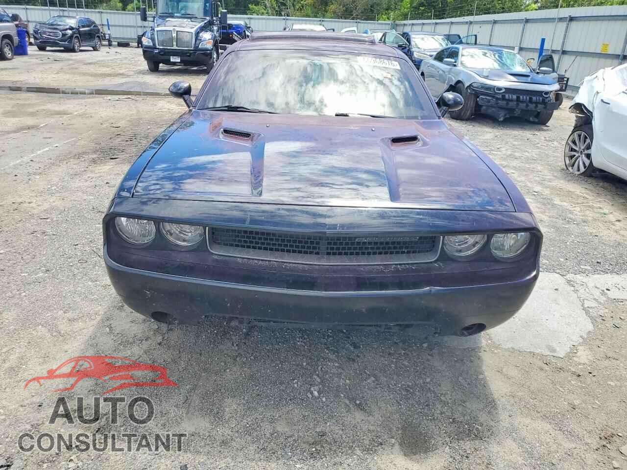 DODGE CHALLENGER 2014 - 2C3CDYAG0EH126880