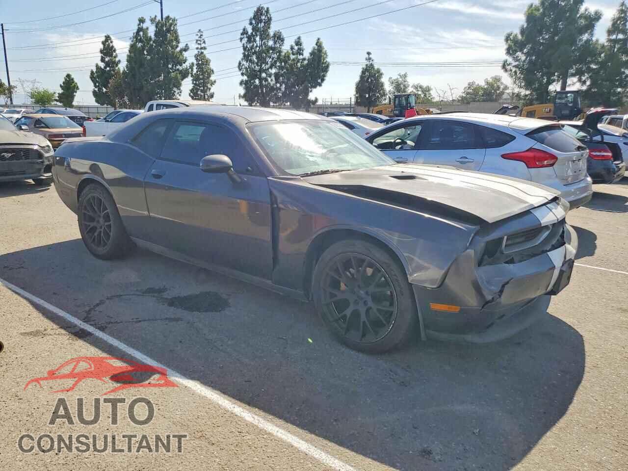 DODGE CHALLENGER 2013 - 2C3CDYAG4DH553669