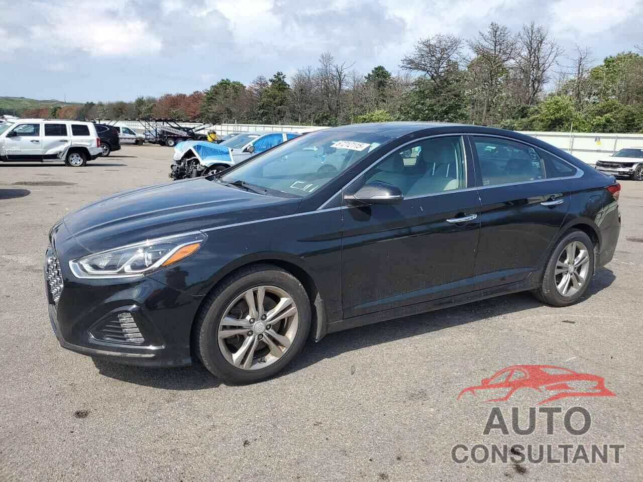 HYUNDAI SONATA 2019 - 5NPE34AF2KH812820