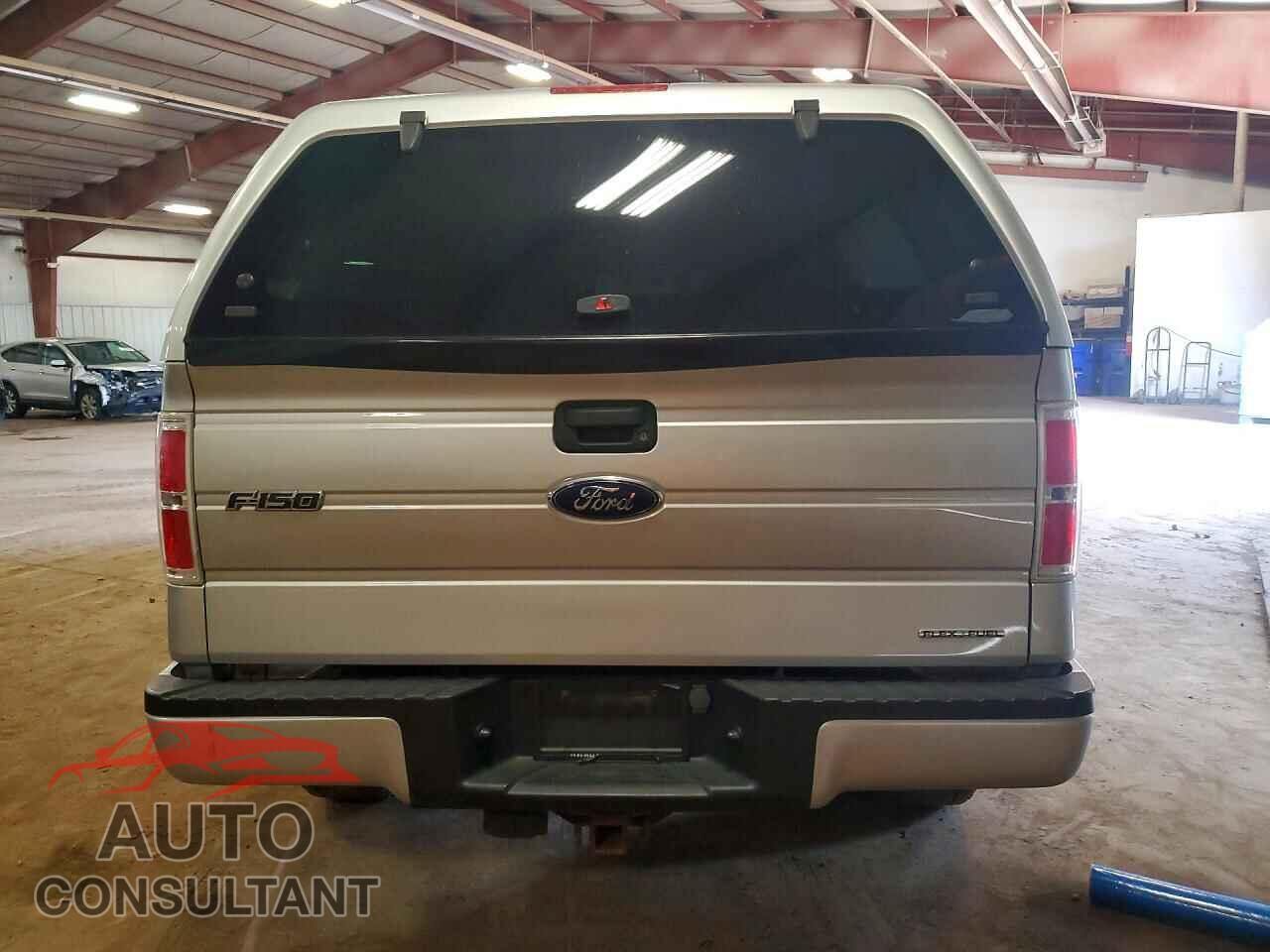 FORD F150 2014 - 1FTEX1EM2EFD07421