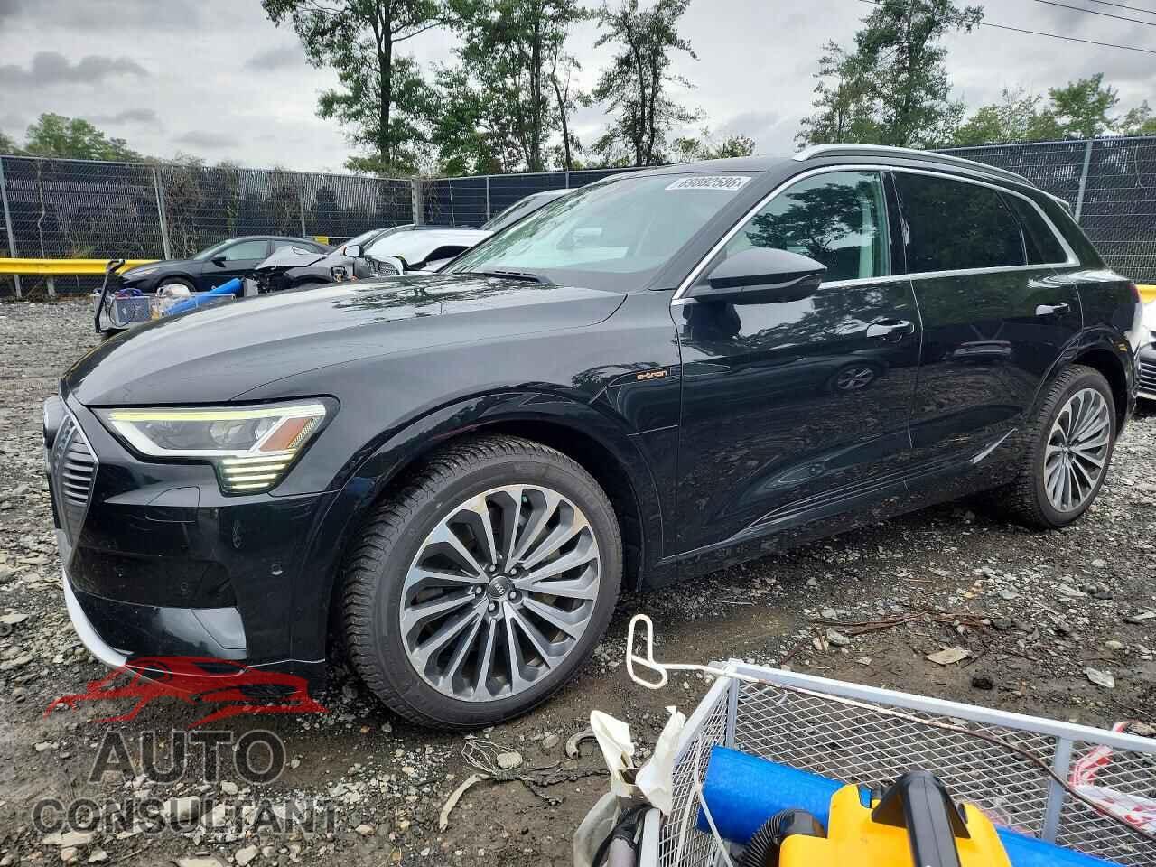 AUDI E-TRON 2019 - WA1VAAGE9KB025085