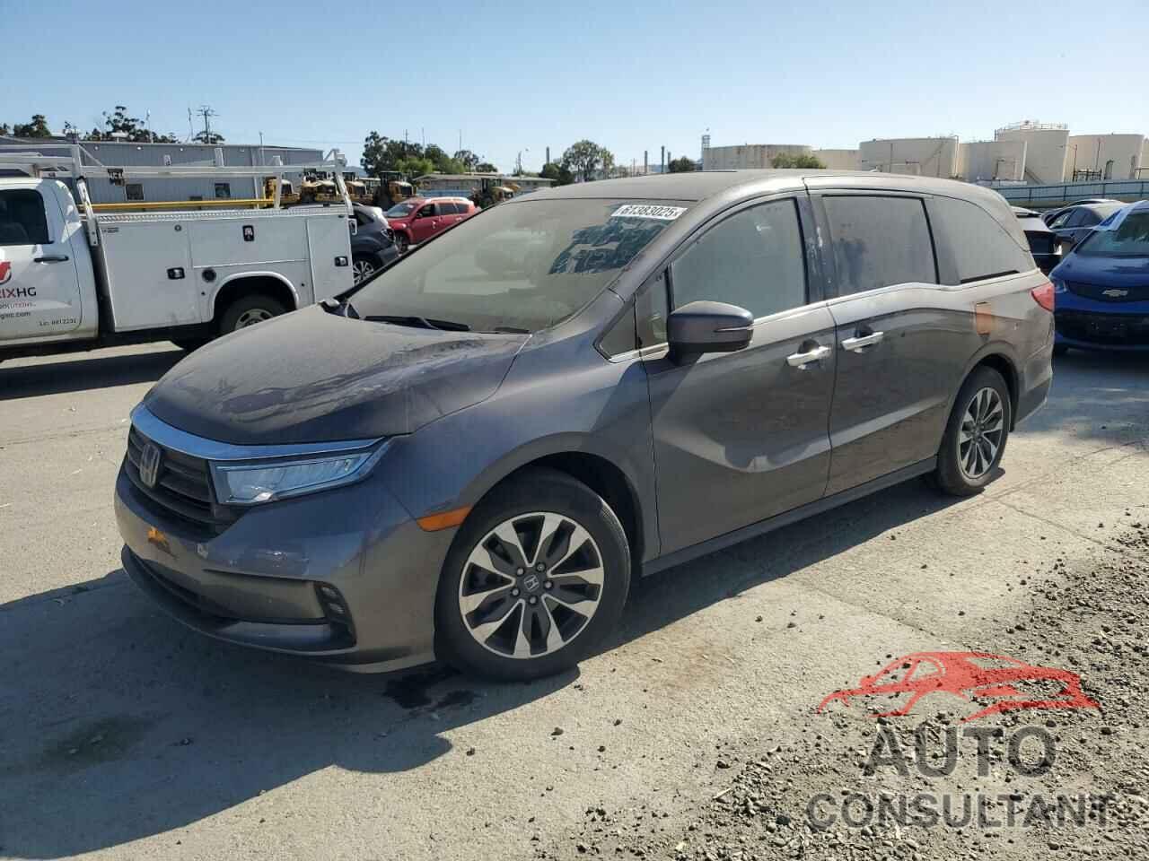 HONDA All Models 2022 - 5FNRL6H73NB023297