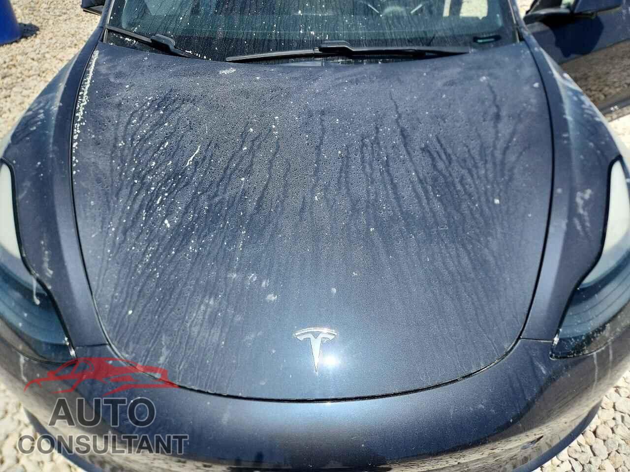 TESLA MODEL 3 2021 - 5YJ3E1EC8MF020446