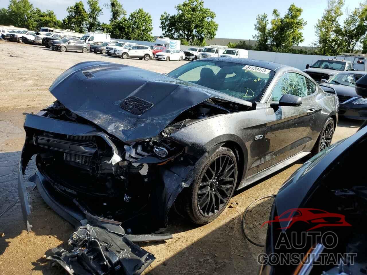 FORD MUSTANG 2019 - 1FA6P8CF2K5118552