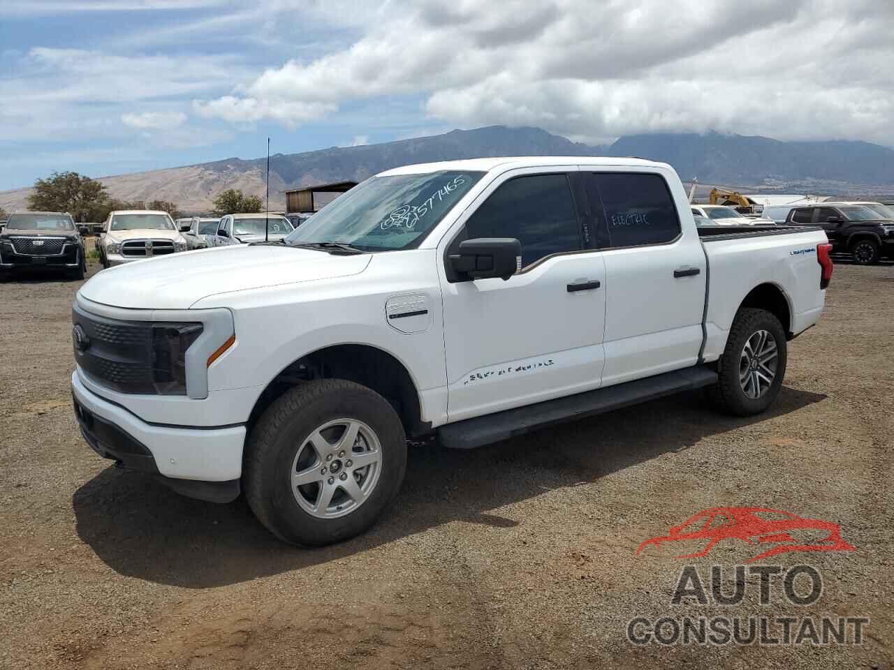 FORD F150 LIGHT 2022 - 1FTVW1EL4NWG12512