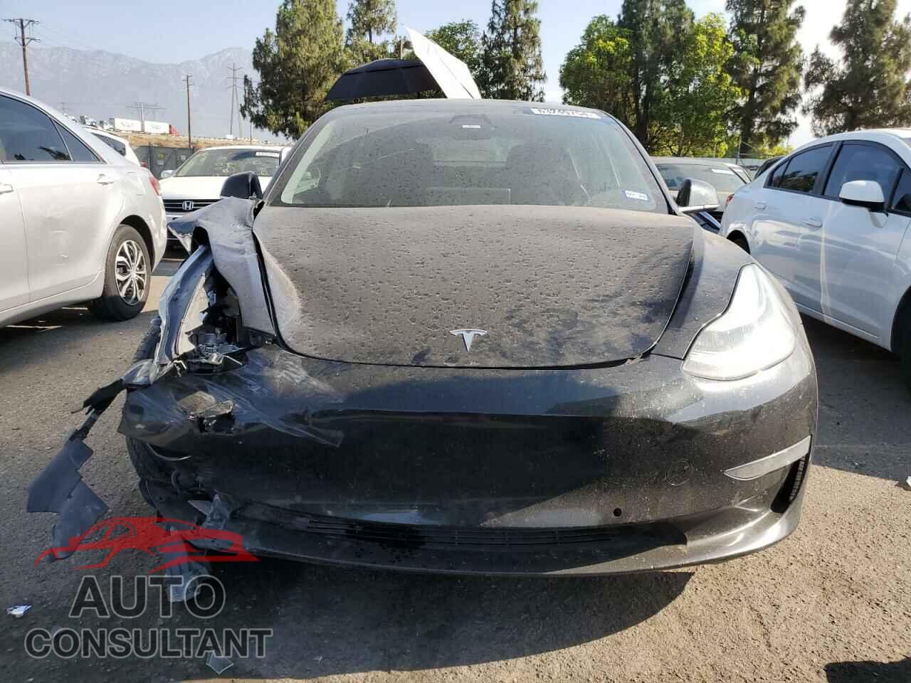 TESLA MODEL 3 2019 - 5YJ3E1EB5KF208961