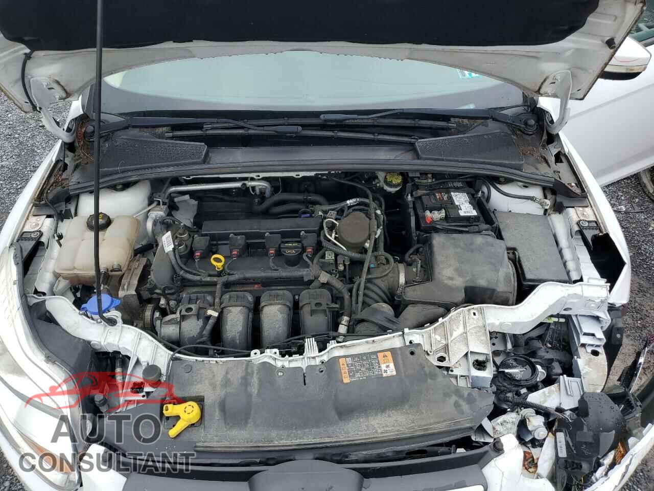 FORD FOCUS 2014 - 1FADP3F29EL366865