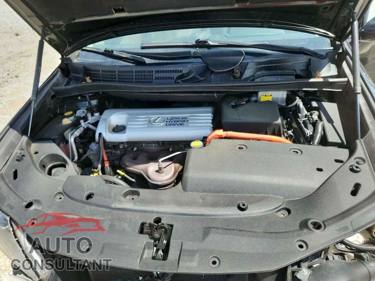 LEXUS HS 2010 - JTHBB1BA9A2003420