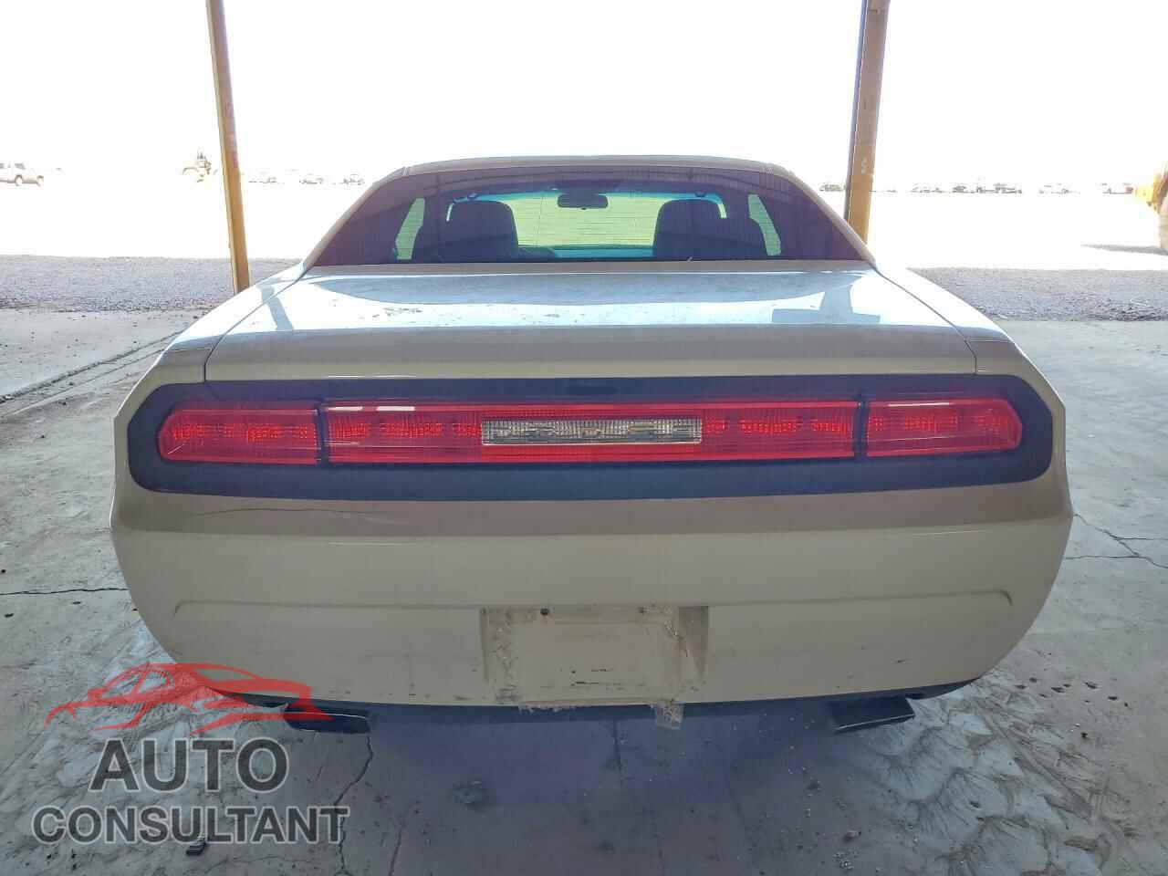 DODGE CHALLENGER 2014 - 2C3CDYAG7EH289820