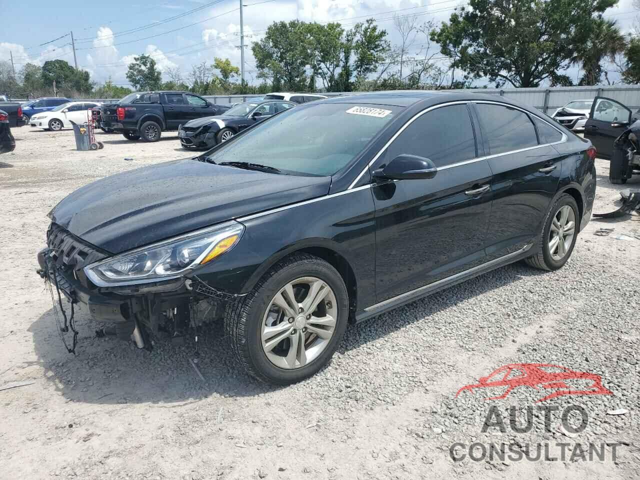 HYUNDAI SONATA 2019 - 5NPE34AF5KH785564