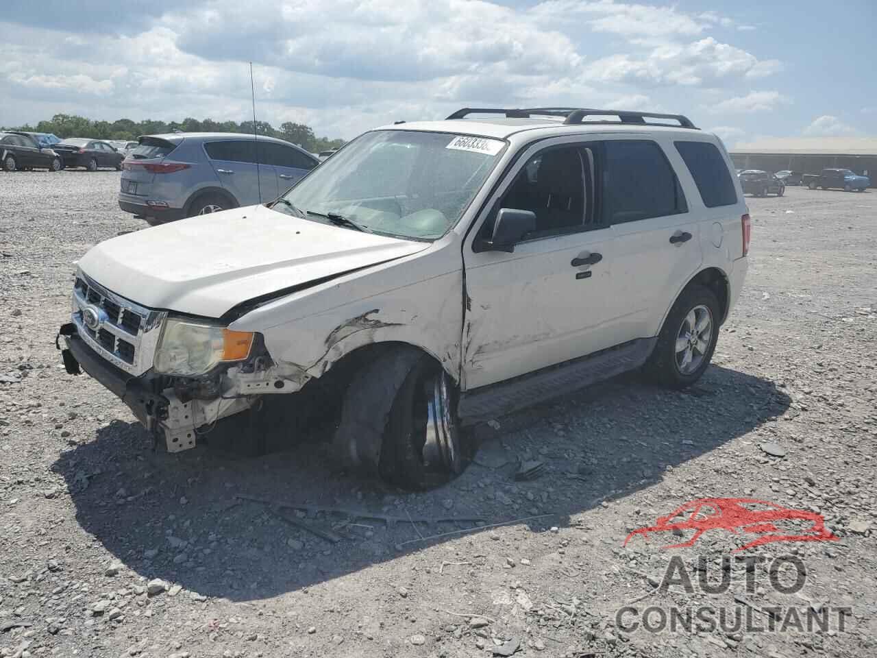 FORD ESCAPE 2010 - 1FMCU9DG9AKB06929