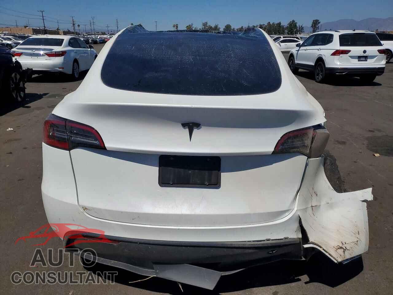 TESLA MODEL Y 2024 - 7SAYGDED5RF182703