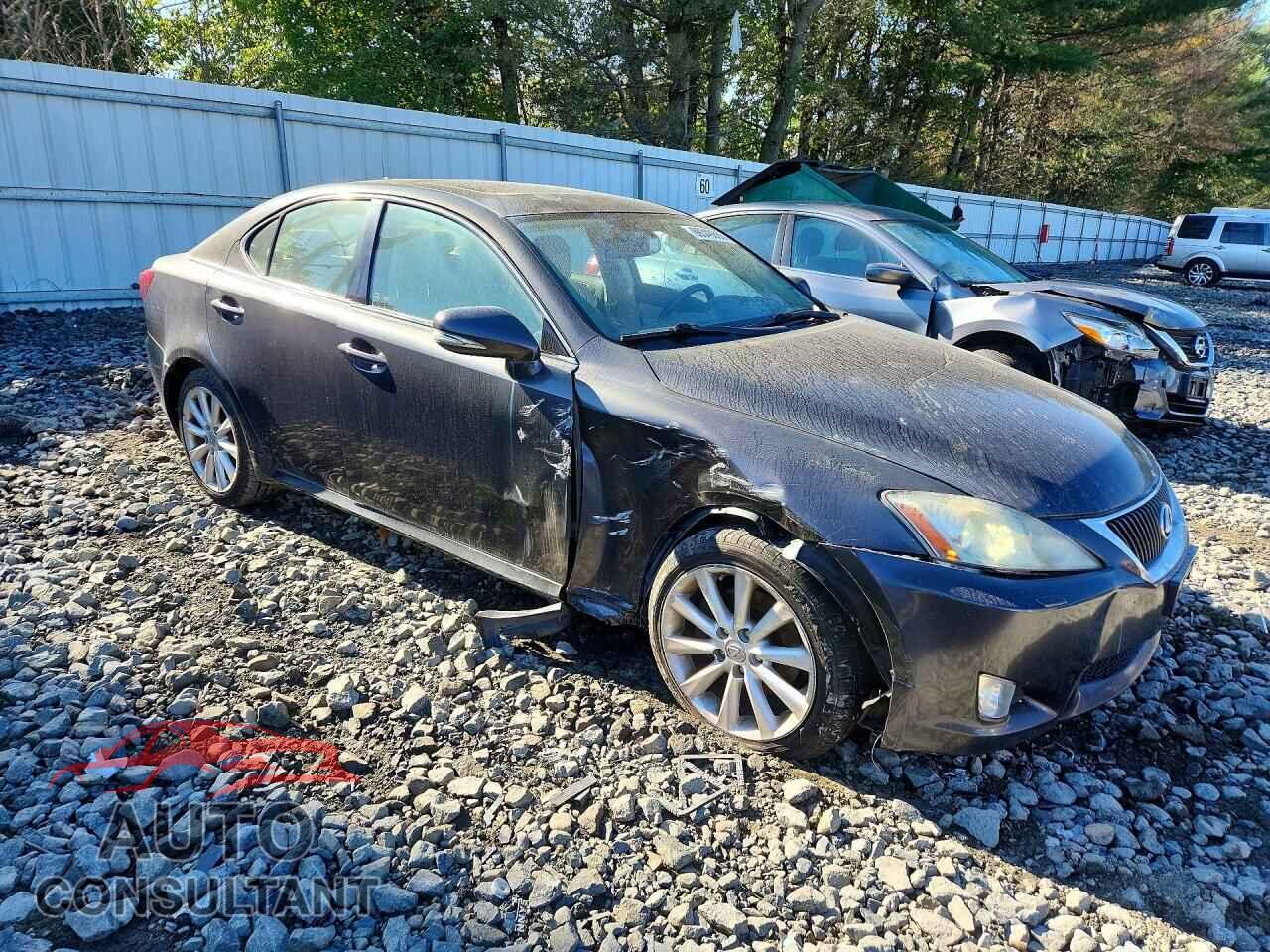 LEXUS IS 2010 - JTHCF5C29A5043289