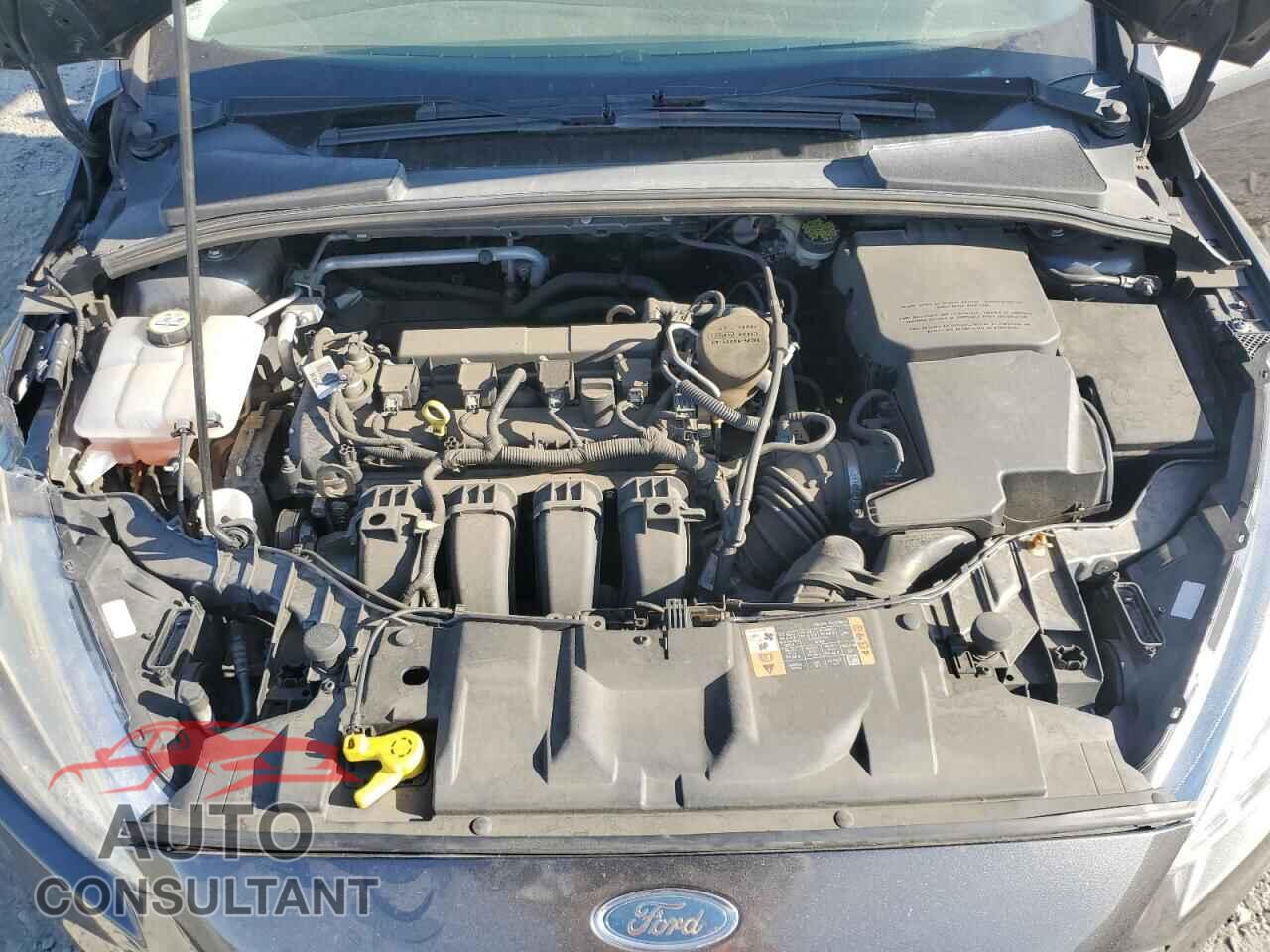 FORD FOCUS 2016 - 1FADP3K29GL203545