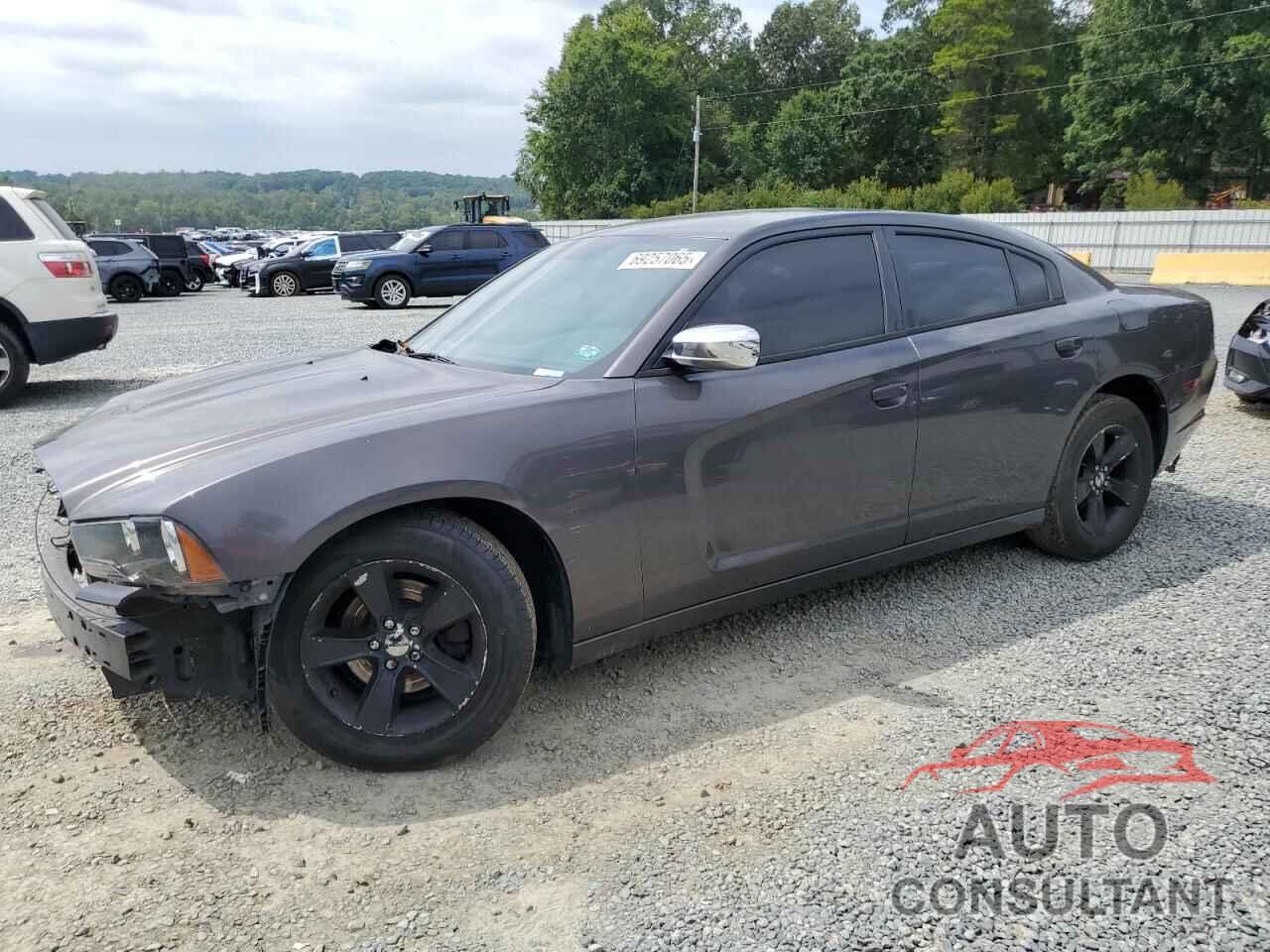 DODGE CHARGER 2014 - 2C3CDXBG8EH215461