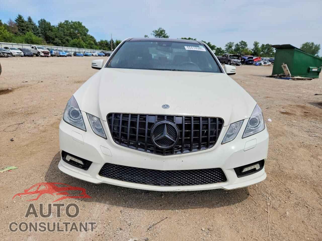 MERCEDES-BENZ E-CLASS 2010 - WDDHF8HB6AA222954