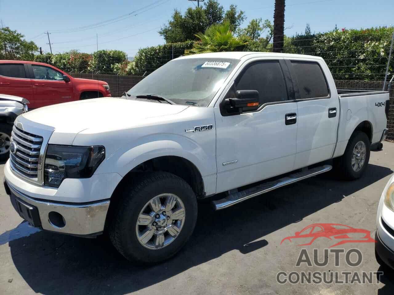 FORD F-150 2011 - 1FTFW1ET6BKD86481