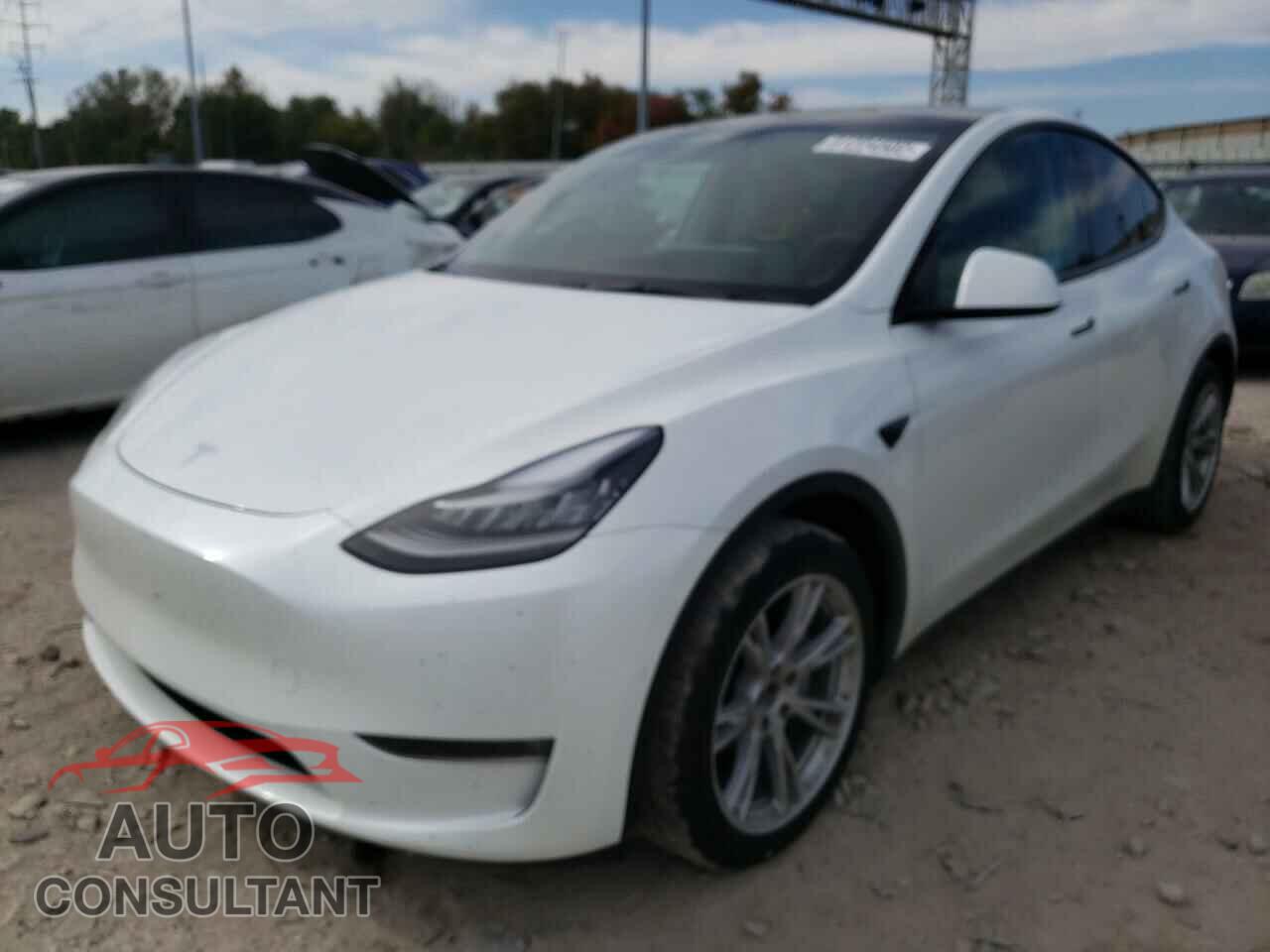 TESLA MODEL Y 2021 - 5YJYGAEEXMF185058
