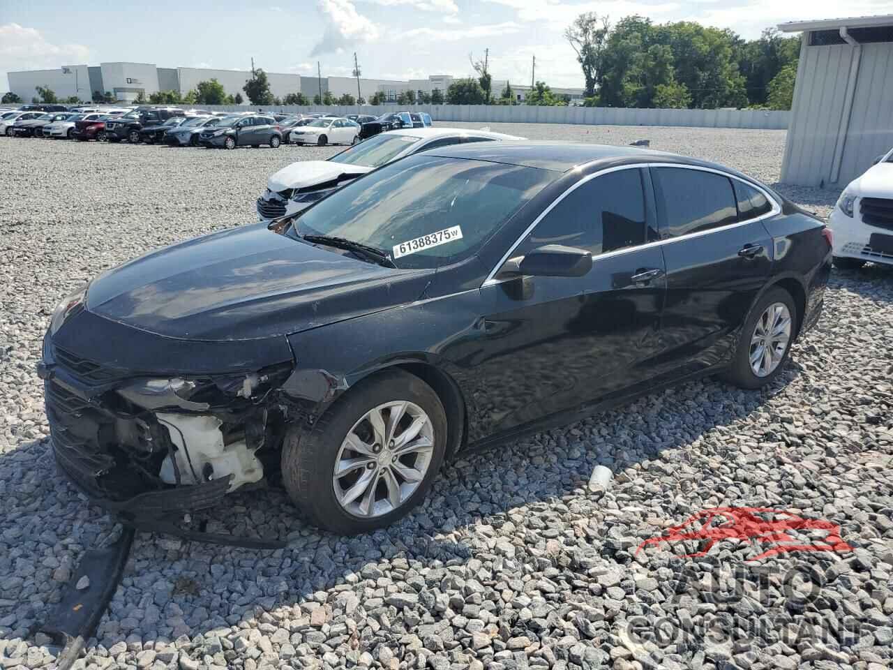 CHEVROLET MALIBU 2019 - 1G1ZD5ST5KF168791