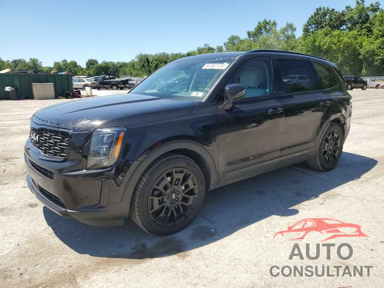 KIA TELLURIDE 2022 - 5XYP3DHC5NG302817