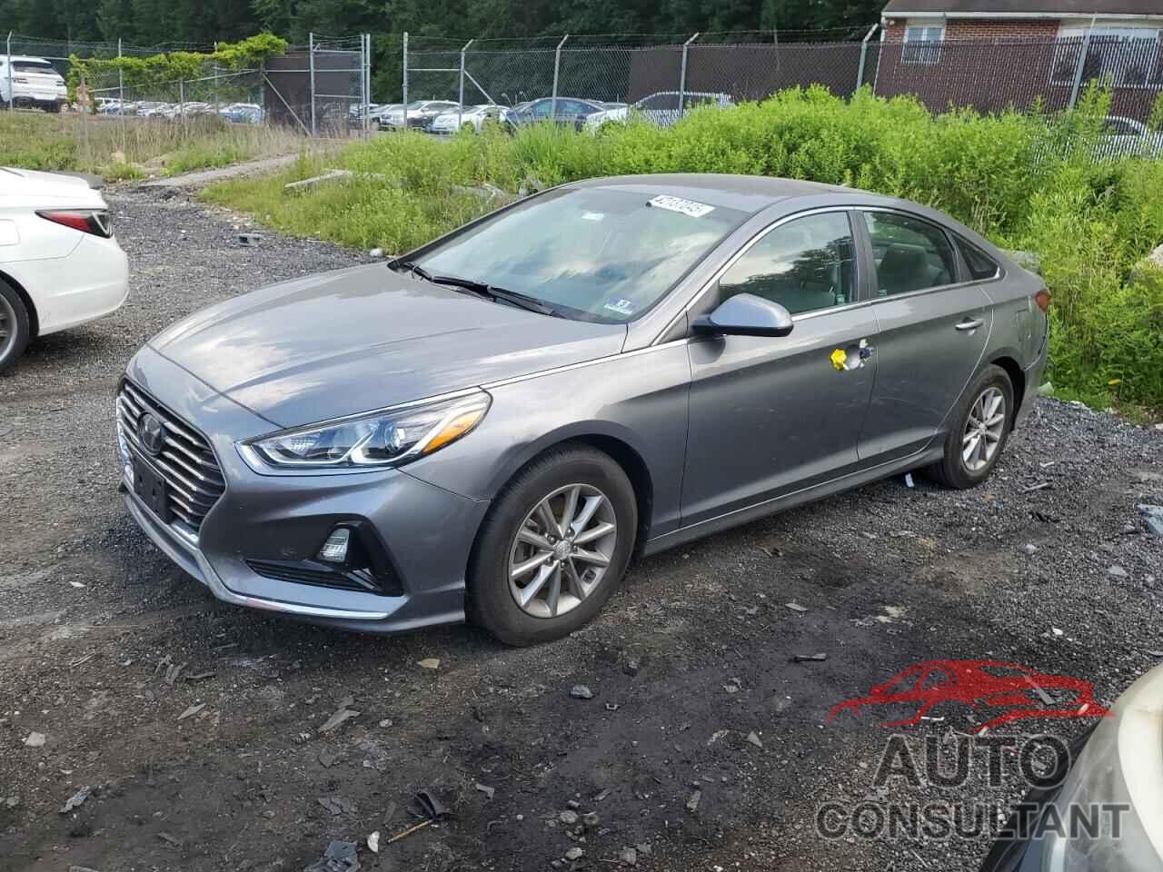 HYUNDAI SONATA 2019 - 5NPE24AF8KH774318