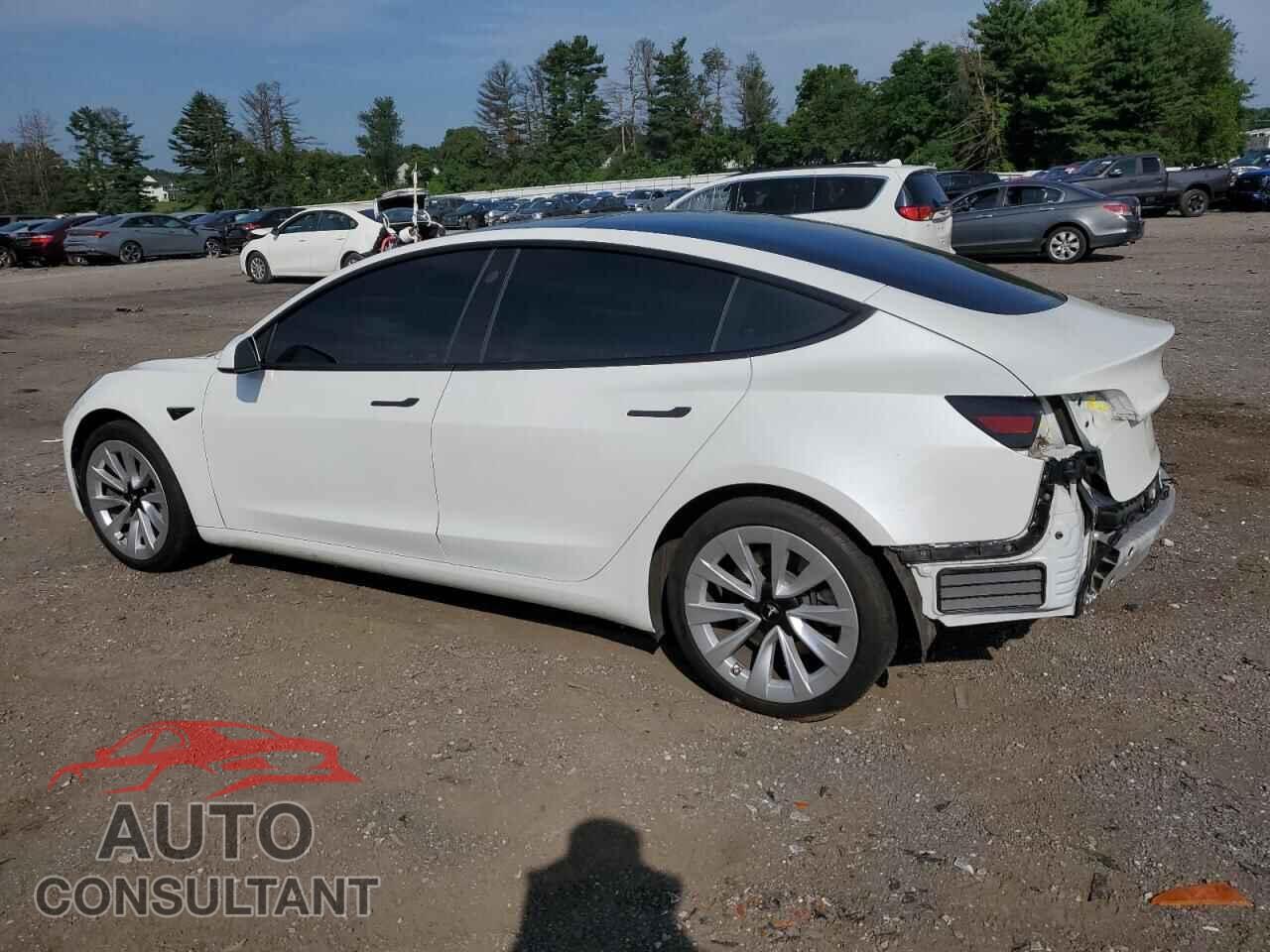 TESLA MODEL 3 2021 - 5YJ3E1EA4MF098592