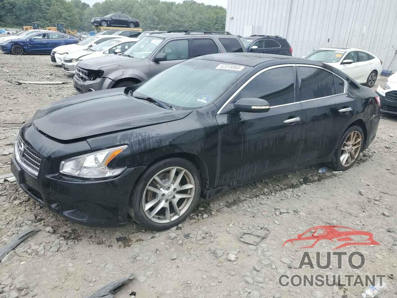 NISSAN MAXIMA 2010 - 1N4AA5AP8AC841094