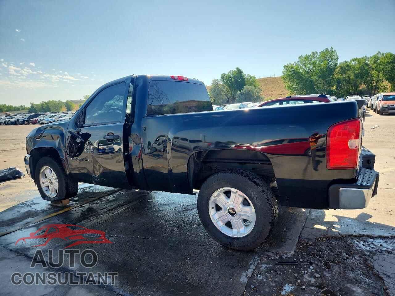CHEVROLET SILVERADO 2013 - 1GCNKSE09DZ402265