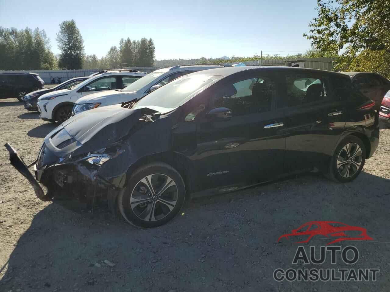 NISSAN LEAF 2019 - 1N4AZ1CP0KC307653
