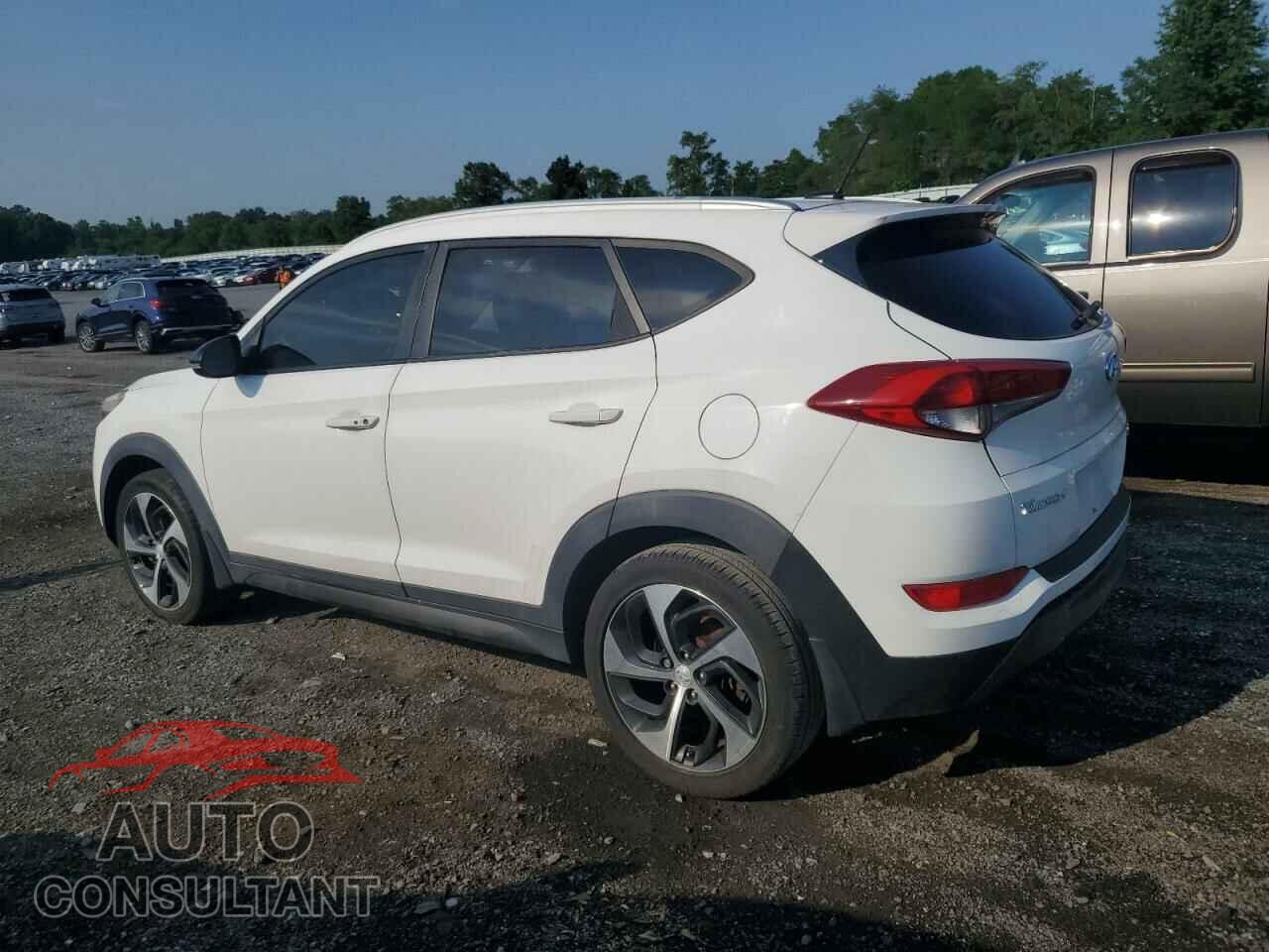 HYUNDAI TUCSON 2016 - KM8J3CA24GU025558