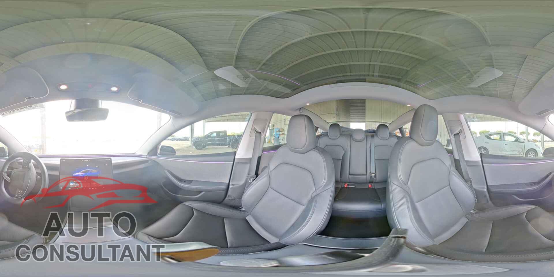 TESLA MODEL 3 2024 - 5YJ3E1EA2RF717648
