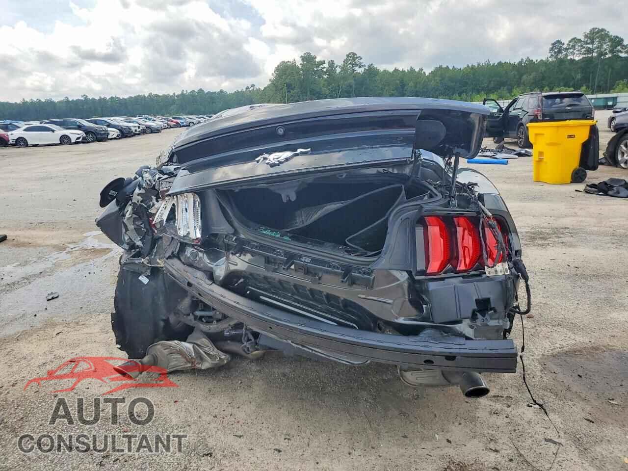 FORD MUSTANG 2019 - 1FA6P8THXK5160792