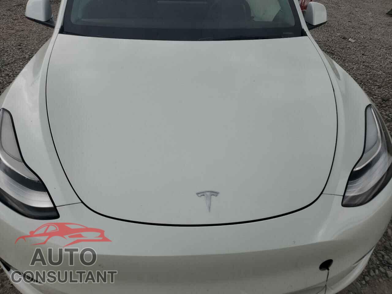 TESLA MODEL Y 2021 - 5YJYGDED1MF110614