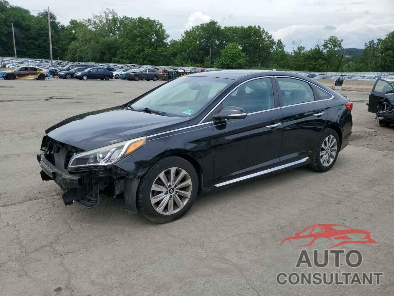 HYUNDAI SONATA 2015 - 5NPE34AF7FH056469