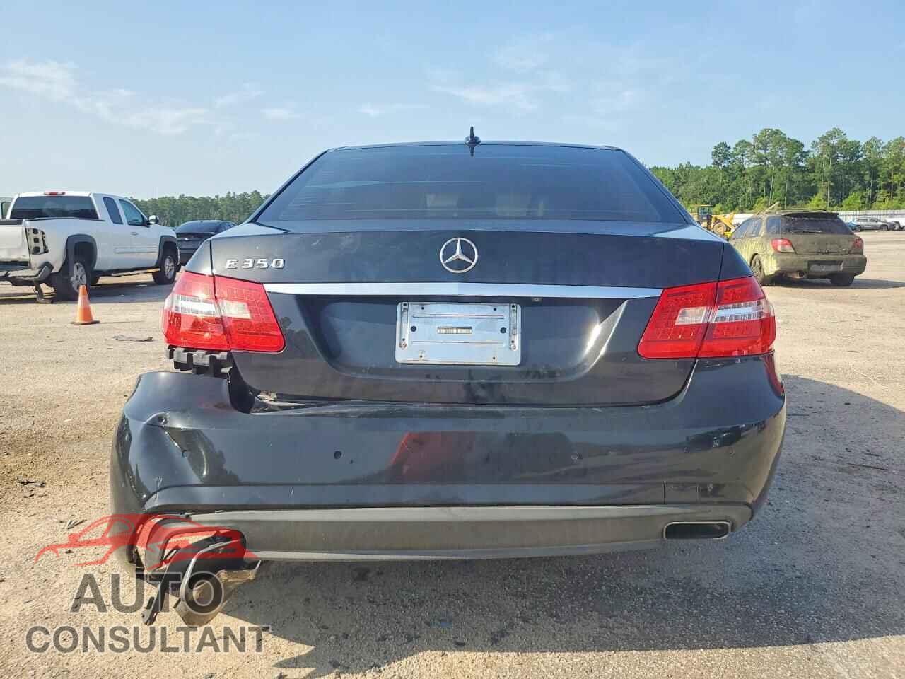 MERCEDES-BENZ E-CLASS 2010 - WDDHF5GB8AA044366