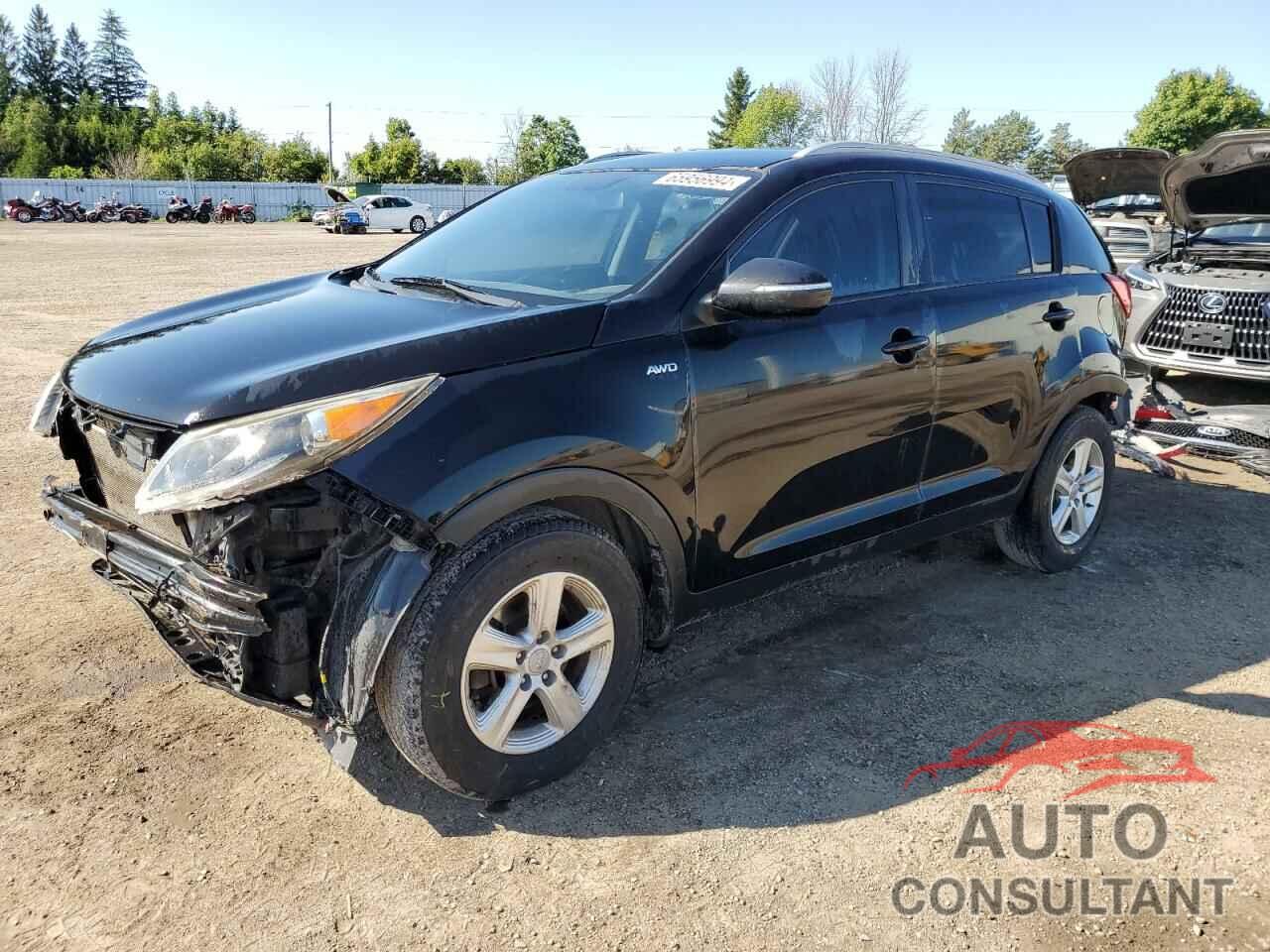 KIA SPORTAGE 2016 - KNDPBCAC9G7867109